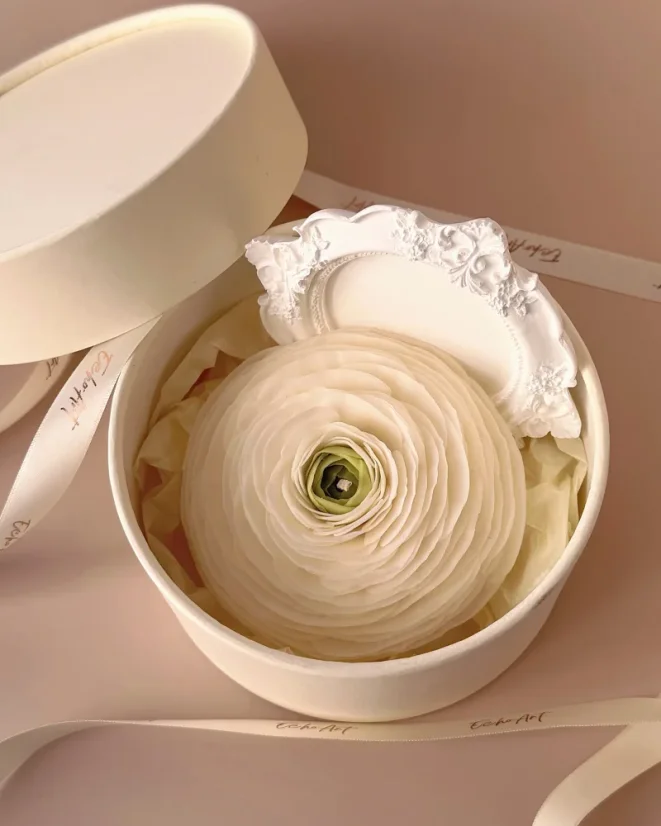 Ranunculus s tácem - Barva: Bílá, Vůně: Bohémská Růže, Barva tácu: Růžová