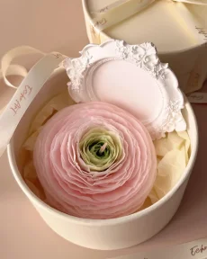 Ranunculus s tácem