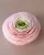 Ranunculus